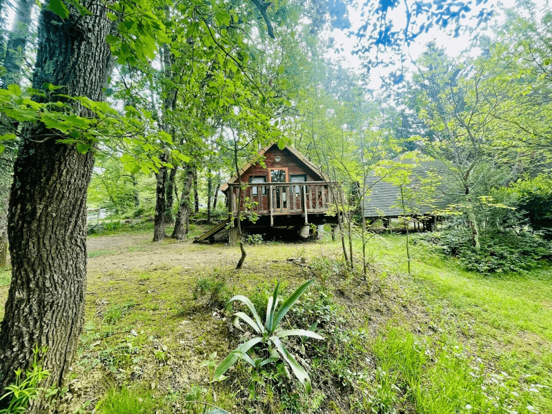 Location Chalets en Ariège, chalets Tournesol 2/4 personnes avec terrasse en bois