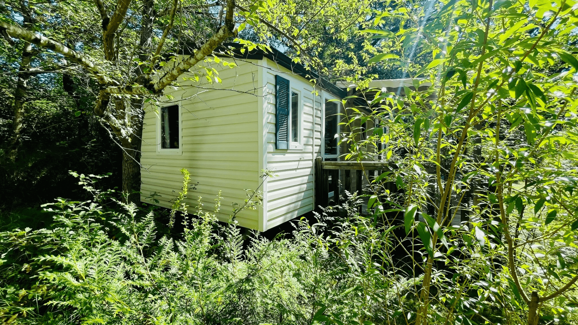 Contact Camping Flower La Pibola in Camon, Ariège