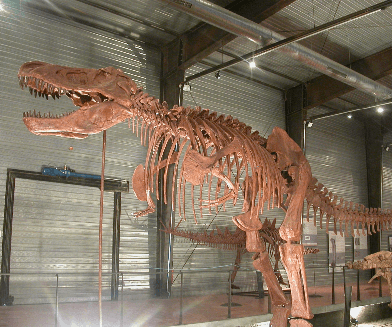 The dinosaur museum in Esperaza, near the La Pibola campsite in Camon, Occitanie.
