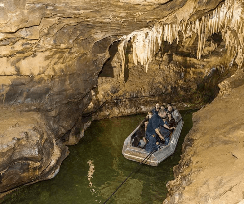 The Niaux cave, a must-see during your stay at La Pibola family nature campsite in the Occitanie region