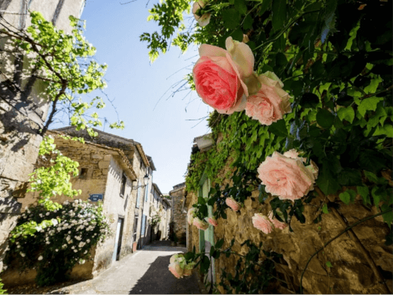 Visitez Camon, le village aux 100 rosiers lors de votre séjour au camping nature familial la Pibola en Ariège