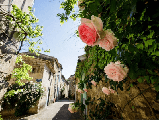 Visit Camon, the village of 100 rosebushes, during your stay at La Pibola family nature campsite in Ariège