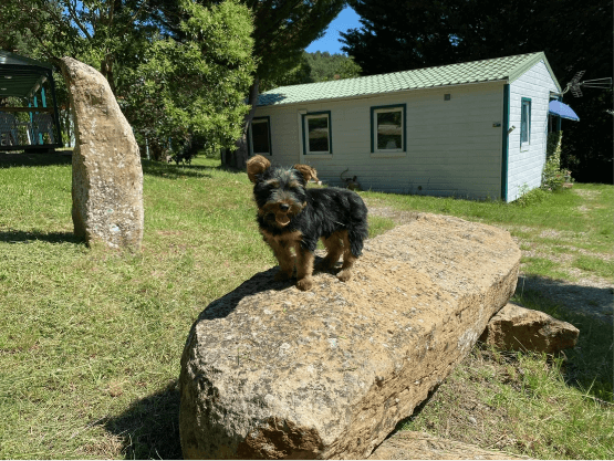 Mobile home rental at Camping Flower La Pibola, in Camon in the Cathar Pyrenees