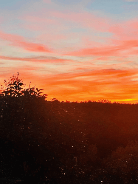 Vue des Pyrénées Cathares le soir