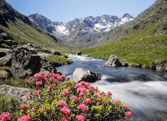 Nature Ariégeoise