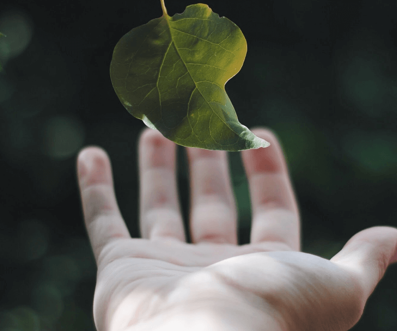 Camping Flower La Pibola in Ariège is committed to sustainable development.