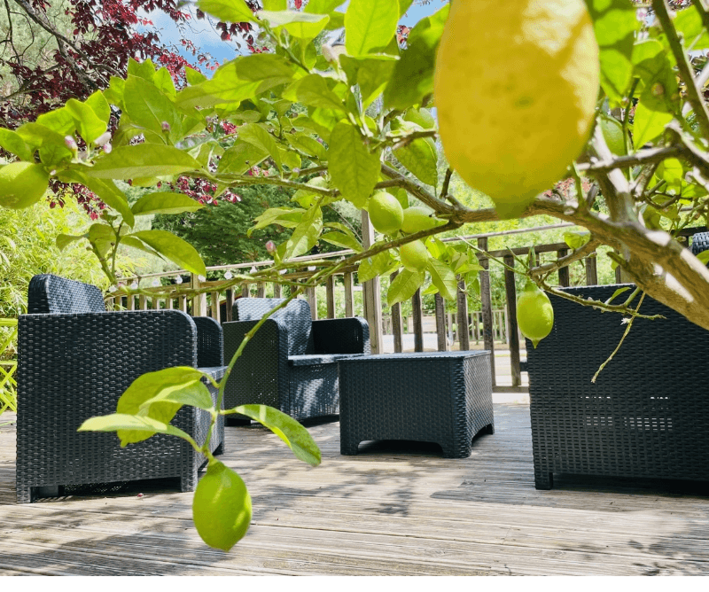 Terrasse en bois couverte des lodges et des tentes en location au camping la Pibola en Ariège